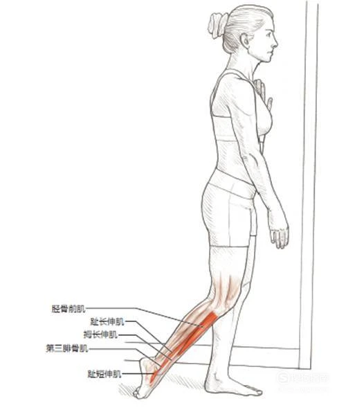 基于智能评估的篮球训练方法有哪些_2